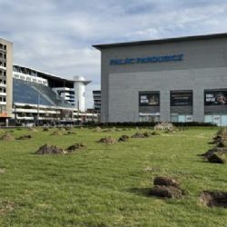Desítky nových stromů v areálu u Paláce Pardubice
