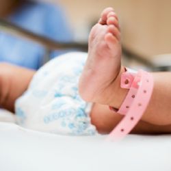 Jihočeský kraj přišel v pololetí o 527 obyvatel. Narodilo se 2 132 dětí