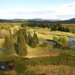 Národní park Šumava přijde o 70 milionů, správa plánuje úspory a uzavření infocenter