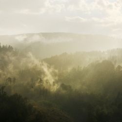 Plzeňský kraj čekají přeháňky i ochlazení. Déšť může znovu nastartovat růst hub