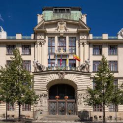 Praha za šest let investovala 575 milionů do opatření proti vedrům a suchu, přibylo téměř milion stromů