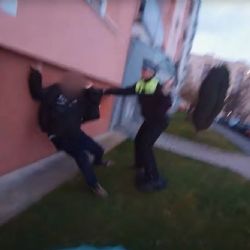 Rvačka před Albertem v Plzni. Agresor napadl dvě ženy a skončil v poutech (video)