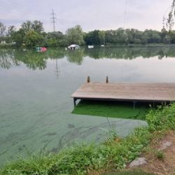 V Praze platí zákaz koupání na Džbánu. Orientační test s PET lahví odhalí sinice během 20 minut
