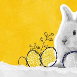 Velikonoční EGGSperimenty v Techmanii slibují zábavu pro malé i velké