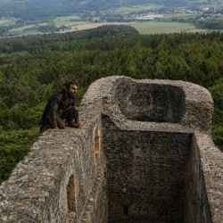 Vyrazte o víkendu na Radyni. Hradem provede tajemný Radouš, bát se ale nemusí ani děti
