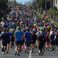 Půlmaraton Plzeňského kraje přinese uzavírky. Řidiči musí v sobotu počítat s omezeními