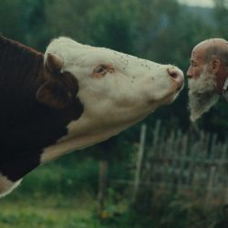  „Raději zešílet v divočině“, projekce unikátního filmu o šumavských podivínech, debata s autorem