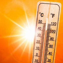 Plzeň zažila největší vedro srpna. V Bolevci meteorologové naměřili 41,5 °C