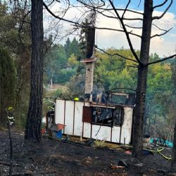 Rozsáhlý požár u Křečovic zaměstnal desítky hasičů. Oheň zasáhl téměř pět hektarů lesa