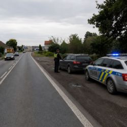 V Líních zastavili řidiče se dvěma zákazy, odmítl drogový test a měl propadlou STK