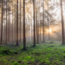 Kolik chráněné přírody má Plzeňský kraj? Patří k nejcennějším regionům v Česku