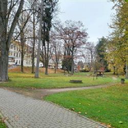 Obnova zeleně u havlíčkobrodské nemocnice začala, projekt podpoří 1,2 milionu z evropských fondů