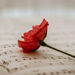 Posezení s písničkou: Melodická oáza radosti a harmonie!