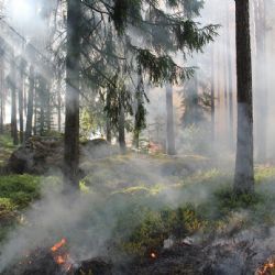 Požár v Poličce: dva sousední domy zasaženy