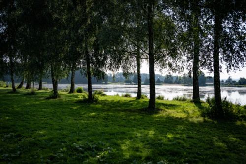 Foto: Revitalizace rybníka Rosnička odstraní tisíce kubíků bahna, město investuje 30 mil. Kč