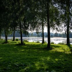Revitalizace rybníka Rosnička odstraní tisíce kubíků bahna, město investuje 30 mil. Kč
