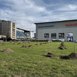 Ovocný sad promění centrum Pardubic