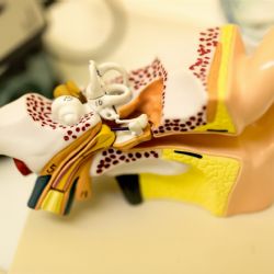 Pardubická nemocnice má nové Centrum vysoce specializované péče pro dětské pacienty s trvalou poruchou sluchu